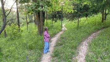 un' bambino con un' cane nel natura video