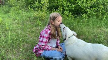 une enfant avec une chien dans la nature video