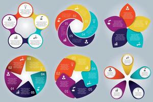 ciclo elementos infografía colocar. modelo para diagrama, grafico, presentación y redondo cuadro. negocio concepto con 5 5 opciones, partes, pasos o procesos. vector