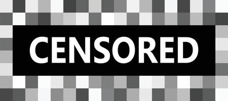 Censor pixel sign bar icon. Censorship square sign. Censor blur checkered texture symbol. Flat style. vector