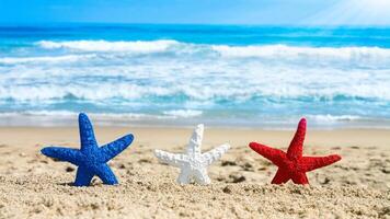 sea star or starfish Oreaster reticulatus on a sandy seabed photo