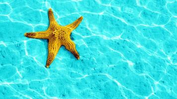 mar estrella o estrella de mar pascua reticulatus en un arenoso fondo del mar foto