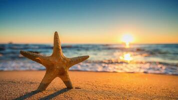 sea star or starfish Oreaster reticulatus on a sandy seabed photo