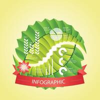 Eco Infographics Template Abstract Agriculture vector