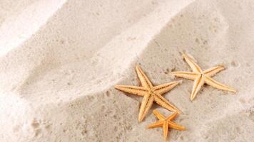 sea star or starfish Oreaster reticulatus on a sandy seabed photo