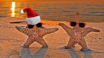 sea star or starfish Oreaster reticulatus on a sandy seabed photo