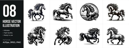 Set of horse Art illustration animal Graphic set isolated on white background. horses graphic element illustration vector