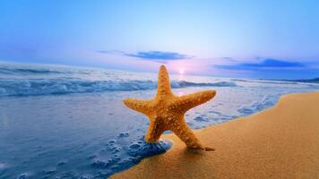 sea star or starfish Oreaster reticulatus on a sandy seabed photo