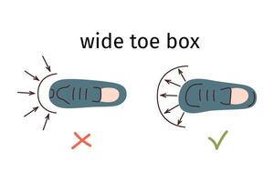 descalzo Zapatos ventajas, amplio dedo del pie caja ilustración, íconos para calzado negocio, arreglo con regular y minimalista zapatos, ventajas de amplio Zapatos con sitio para dedos de los pies vector