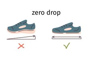 Barefoot shoes advantages, zero drop of flat shoe sole, illustration for footwear business, regular and minimalist shoes, advantages of thin flexible sole with no drop, without heels vector