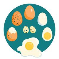 Different chicken and quail eggs, raw, boiled and fried illustration vector