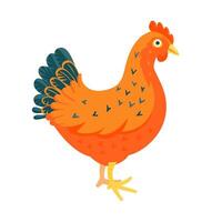 rojo pollo gallina gracioso ilustración dibujos animados estilo vector