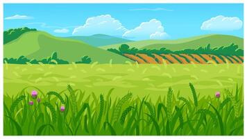 Summer field illustration vector