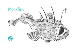 Detailed hand drawn black and white illustration of Monkfish vector