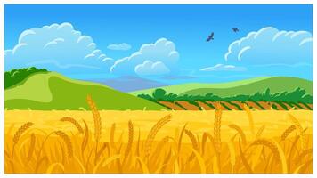 Summer field illustration vector