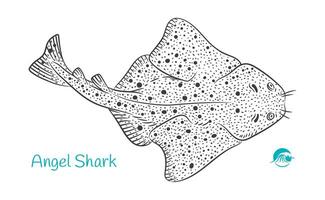 Angel Shark Detailed hand drawn black and white illustration vector