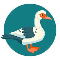 Muscovy Duck funny illustration cartoon style vector