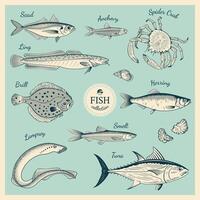 Vintage fish illustration set vector