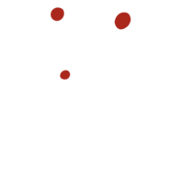 bladeren en bloemen png