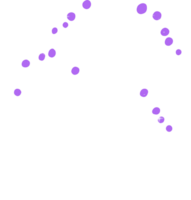 bladeren en bloemen png