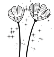 bladeren en bloemen png