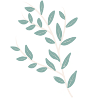 Leaves and flowers png