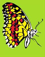 illustration of a beautiful yellow butterfly flying standing up vector