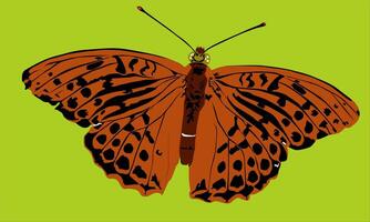 illustration of a brown butterfly with a green background vector