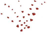 feuilles et fleurs png