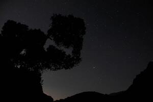 Dark Blue Night Sky Landscape with Silhouette of Hanging Tree over Mountains. Pale Yellow Dawn Flashing Over Hill. Copy space for text photo