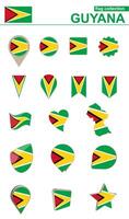 Guyana Flag Collection. Big set for design. vector