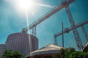 several giant silos in a flour mill industry photo