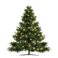 arbre de noël sur fond transparent png