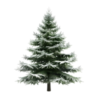 Kerstmis boom Aan transparant achtergrond png