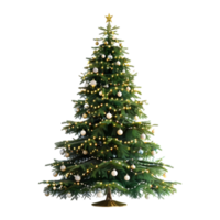 arbre de noël sur fond transparent png