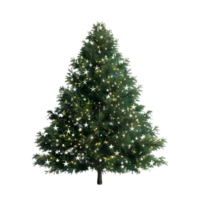 Natale albero su trasparente sfondo png