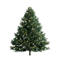 arbre de noël sur fond transparent png