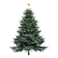 arbre de noël sur fond transparent png