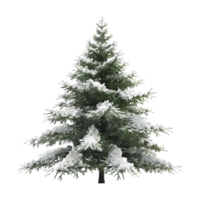 Natale albero su trasparente sfondo png