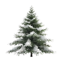 arbre de noël sur fond transparent png