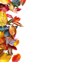 Autumn Leaves Border on Transparent Background png