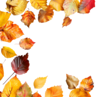 Autumn Leaves Border on Transparent Background png