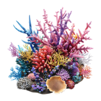 Colorful Corals on Transparent Background png