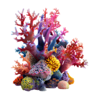 Colorful Corals on Transparent Background png