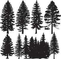 Conifer pine trees in a forest or park simple icon for nature. Trunk environment deciduous pine trees silhouette logo. vector