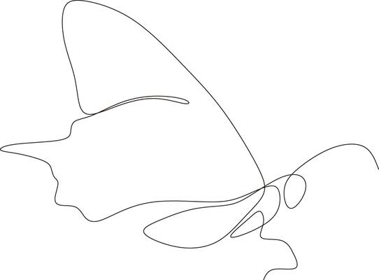 Butterfly continuous line drawing design isolated on white background for logo or decorative element. Insect shape illustration in trendy line style.