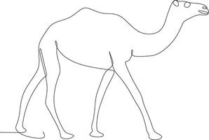 camel drawing with one continuous line isolated, illustration vector