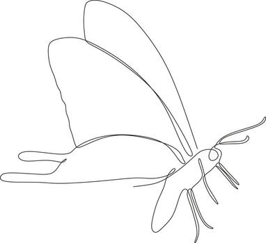 Butterfly continuous line drawing design isolated on white background for logo or decorative element. Insect shape illustration in trendy line style. vector