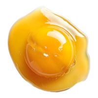 Yellow Egg Yolk on Transparent Background png