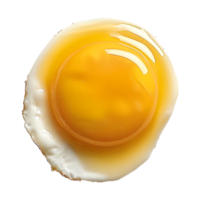 Yellow Egg Yolk on Transparent Background png